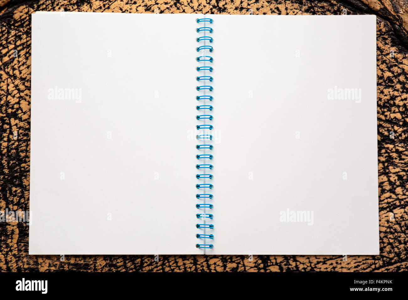 Uno aperto il notebook in bianco su sfondo di cuoio Foto Stock