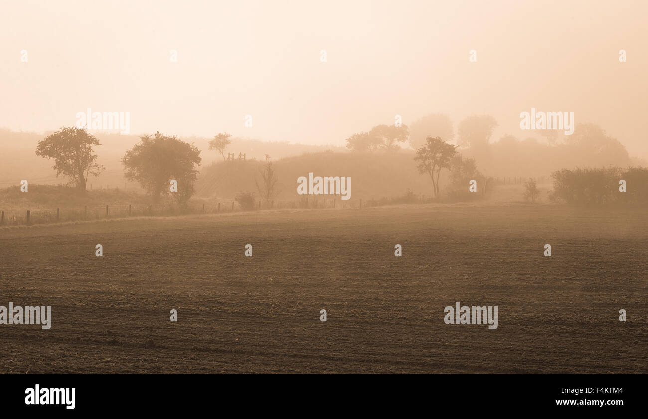 Early Morning mist inizia a bruciare oltre il Cambridgeshire campagna. Foto Stock