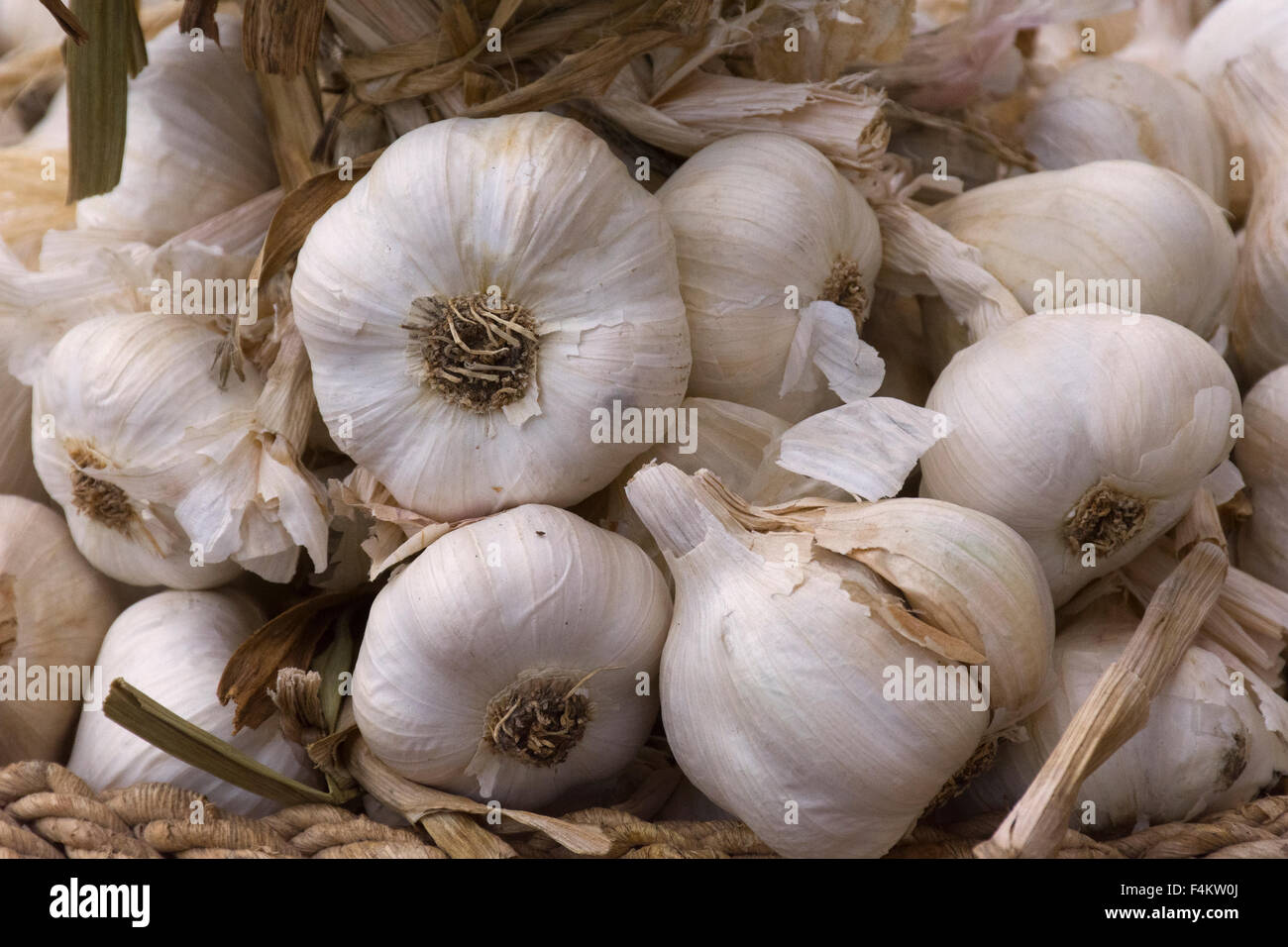 L'Italia, Piemonte, Fiera del Tartufo di Alba: aglio. Foto Stock