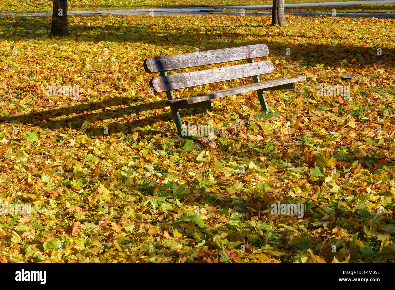 Un sedile giardino circondato da colorati foglie di acero caduti a terra sotto alberi di acero in ottobre. Foto Stock