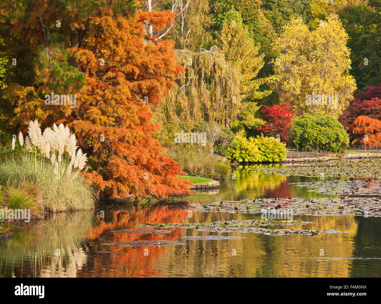 Sheffield Park Gardens. Foto Stock