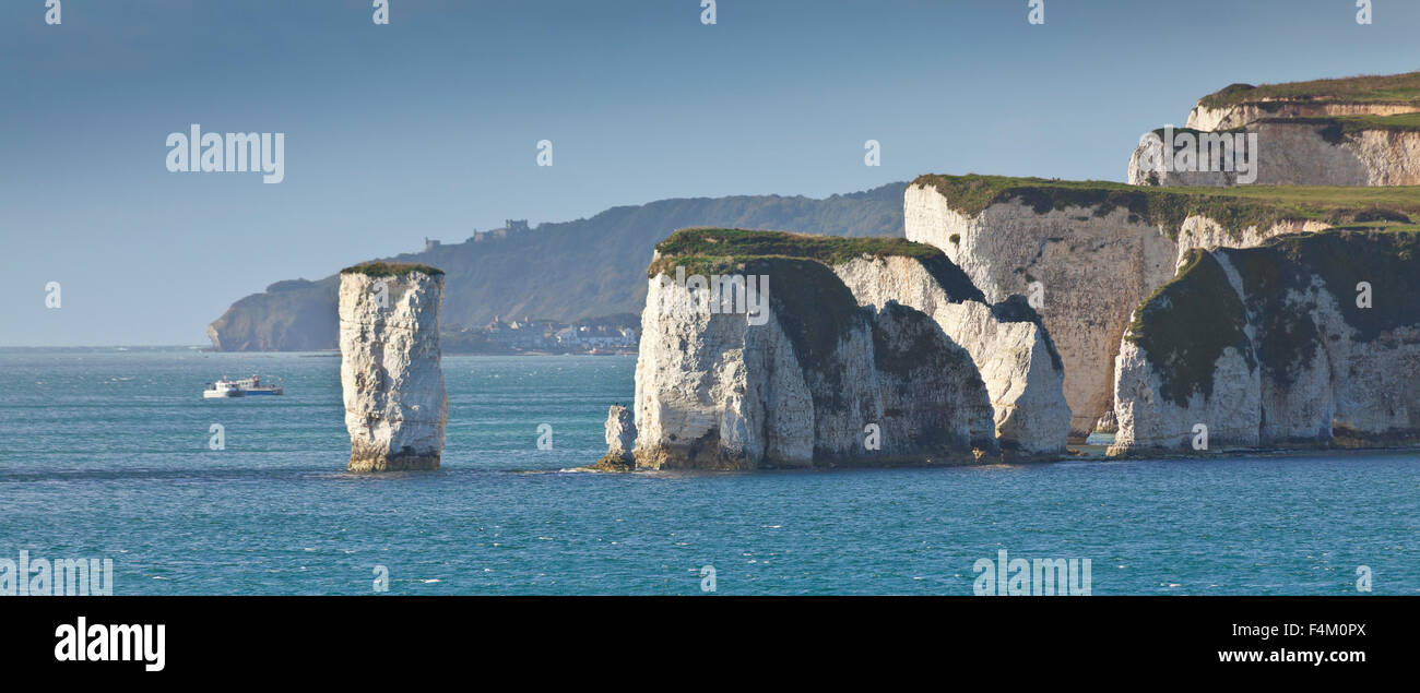 Old Harry Rocks e sua moglie, chalk costa, Poole Bay, Regno Unito Foto Stock