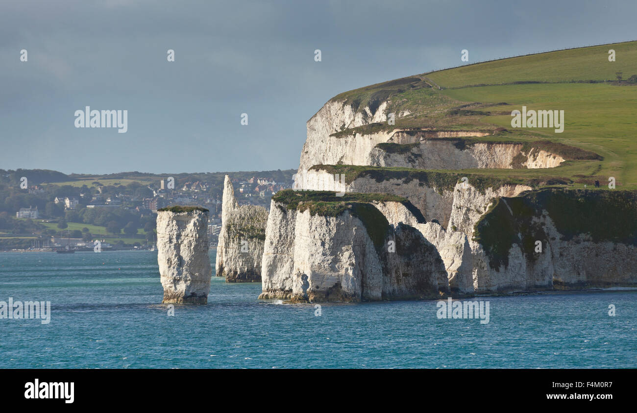 Old Harry Rocks e sua moglie, chalk costa, Poole Bay, Regno Unito Foto Stock Old Harry Rocks e sua moglie, chalk costa, Poole Bay, Regno Unito Foto Stock