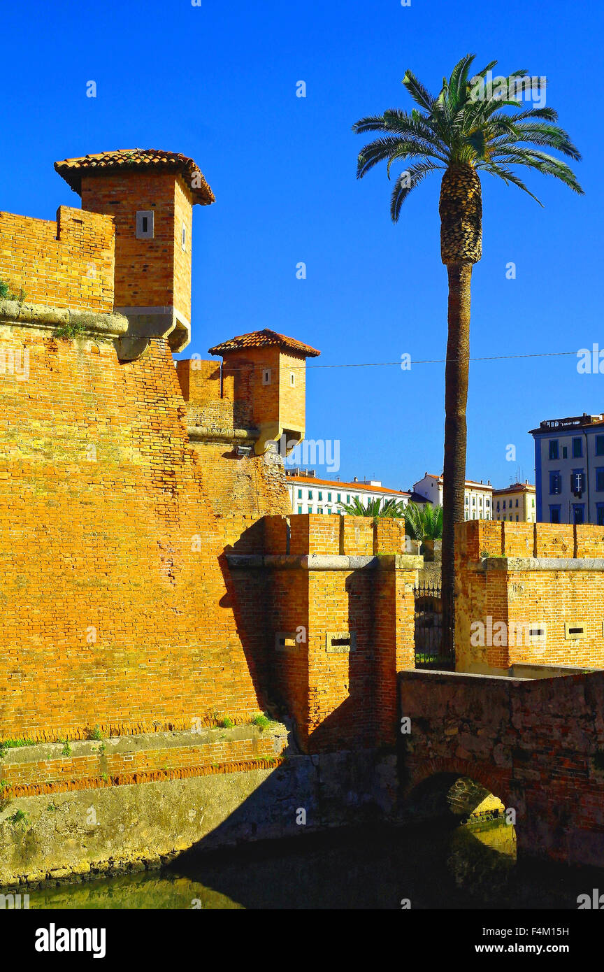 Fortezza di Livorno e il palm tree, Fortezza Nuova, Canal, Toscana, lone Palm tree, romana, Livorno, Mar Ligure Foto Stock