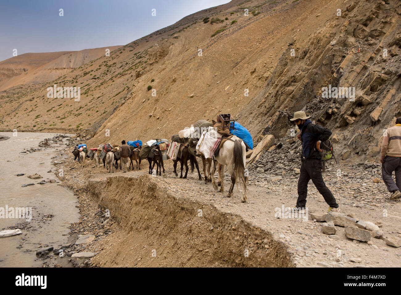 India, Jammu e Kashmir, Ladakh, Pang, pack i cavalli che trasportano carichi al fianco di alta altitudine river Foto Stock