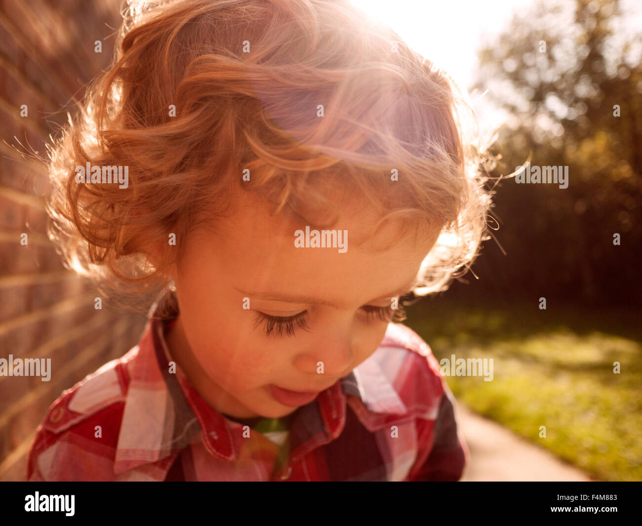 Ritratto di capelli ricci toddler boy in un controllato shirt all'aperto Foto Stock