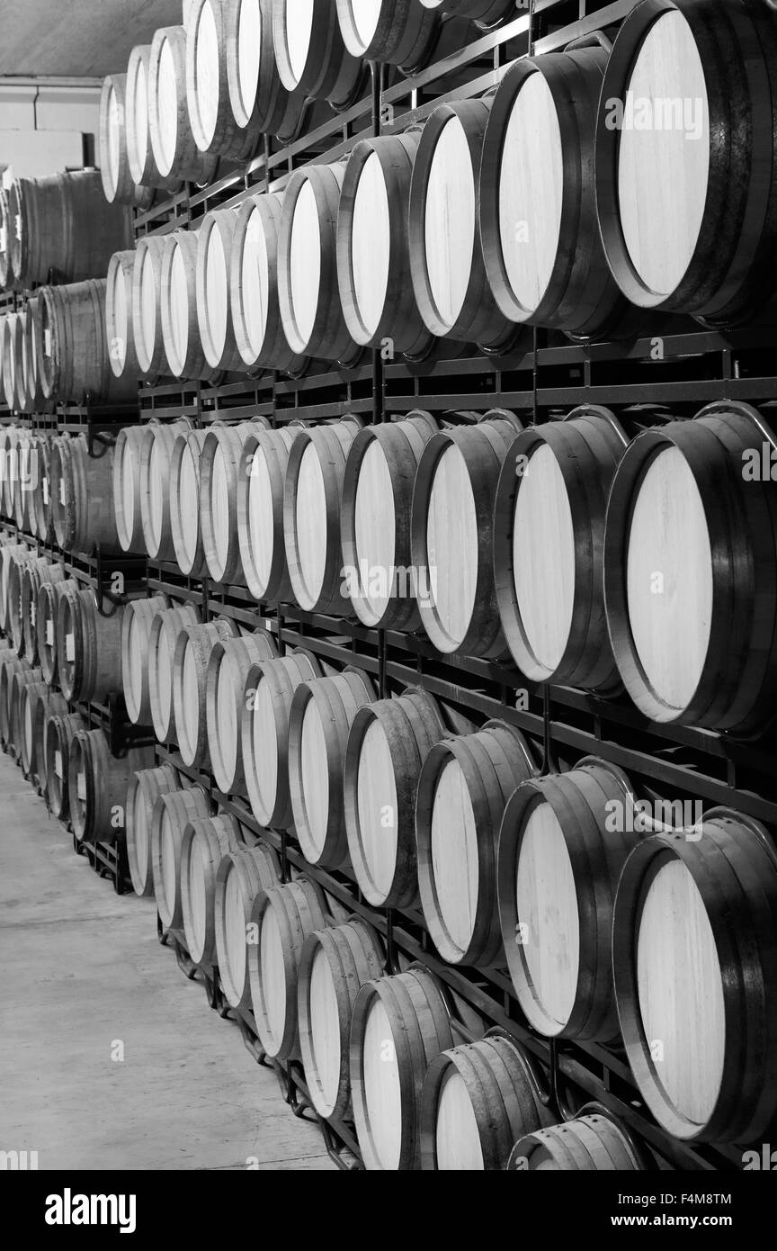 Botti da vino in un processo di invecchiamento in cantina spagnola in bianco e nero in verticale Foto Stock