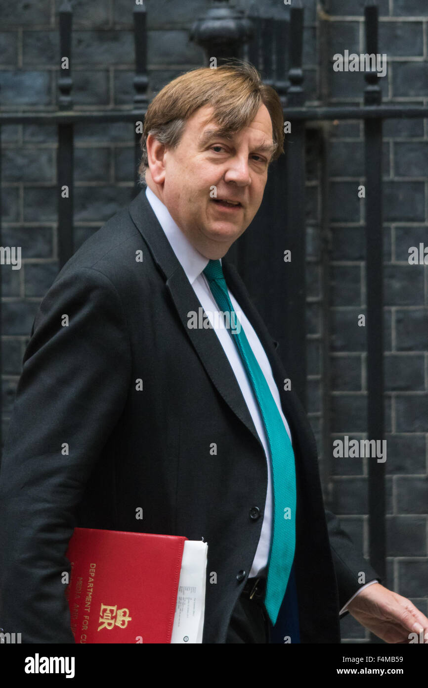 A Downing Street, Londra, 20 ottobre 2015. Il segretario di Stato per la cultura e i mezzi di informazione e lo Sport John Whittingdale lascia 10 Downing Street dopo aver frequentato il settimanale riunione del gabinetto Credito: Paolo Davey/Alamy Live News Foto Stock