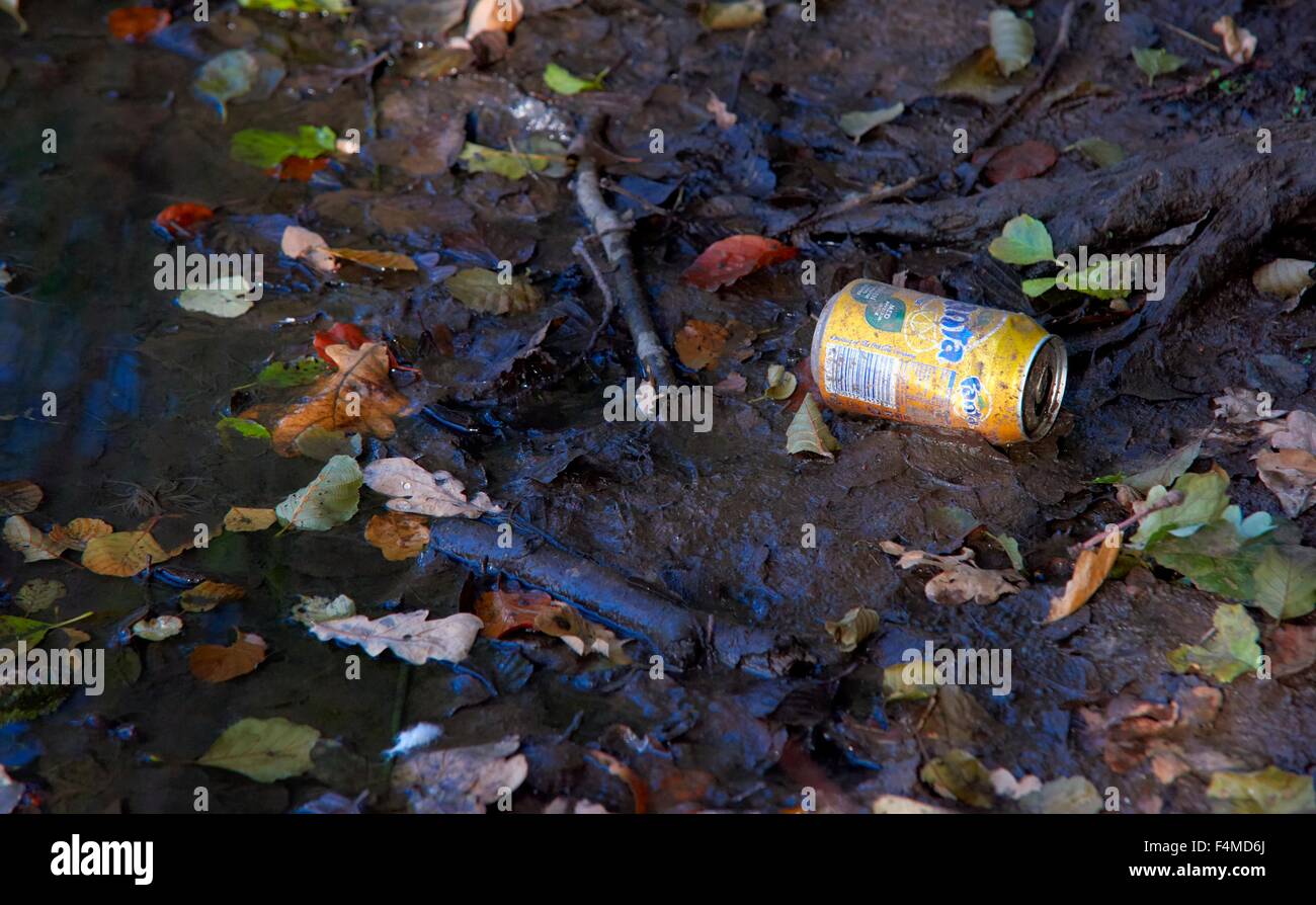 Un scartato per bibite sul bordo di un lago in Wollaton park Nottingham England Regno Unito Foto Stock