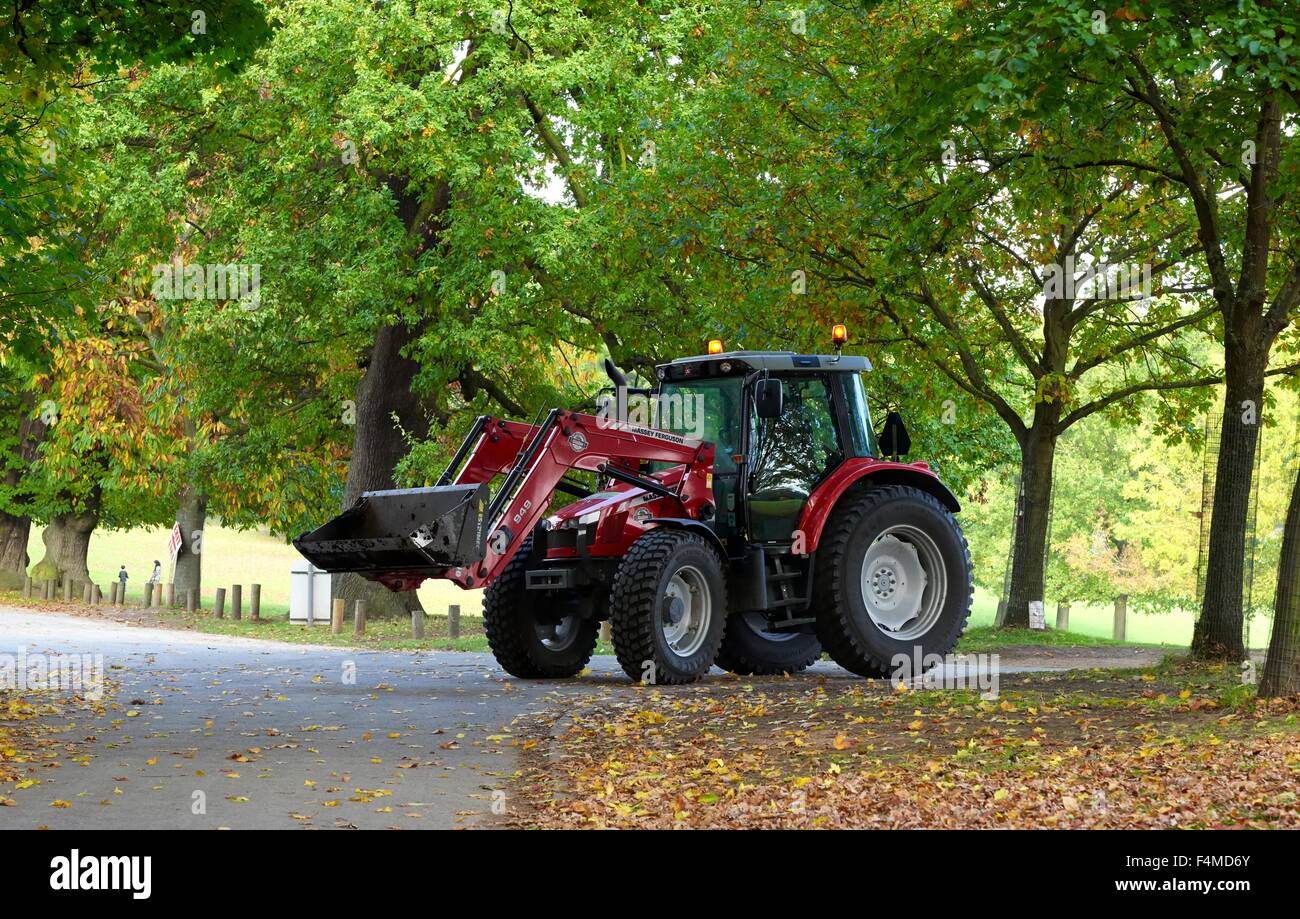 Un Massey Ferguson Serie 900 trattore utilizzato in Wollaton park Nottingham England Regno Unito Foto Stock