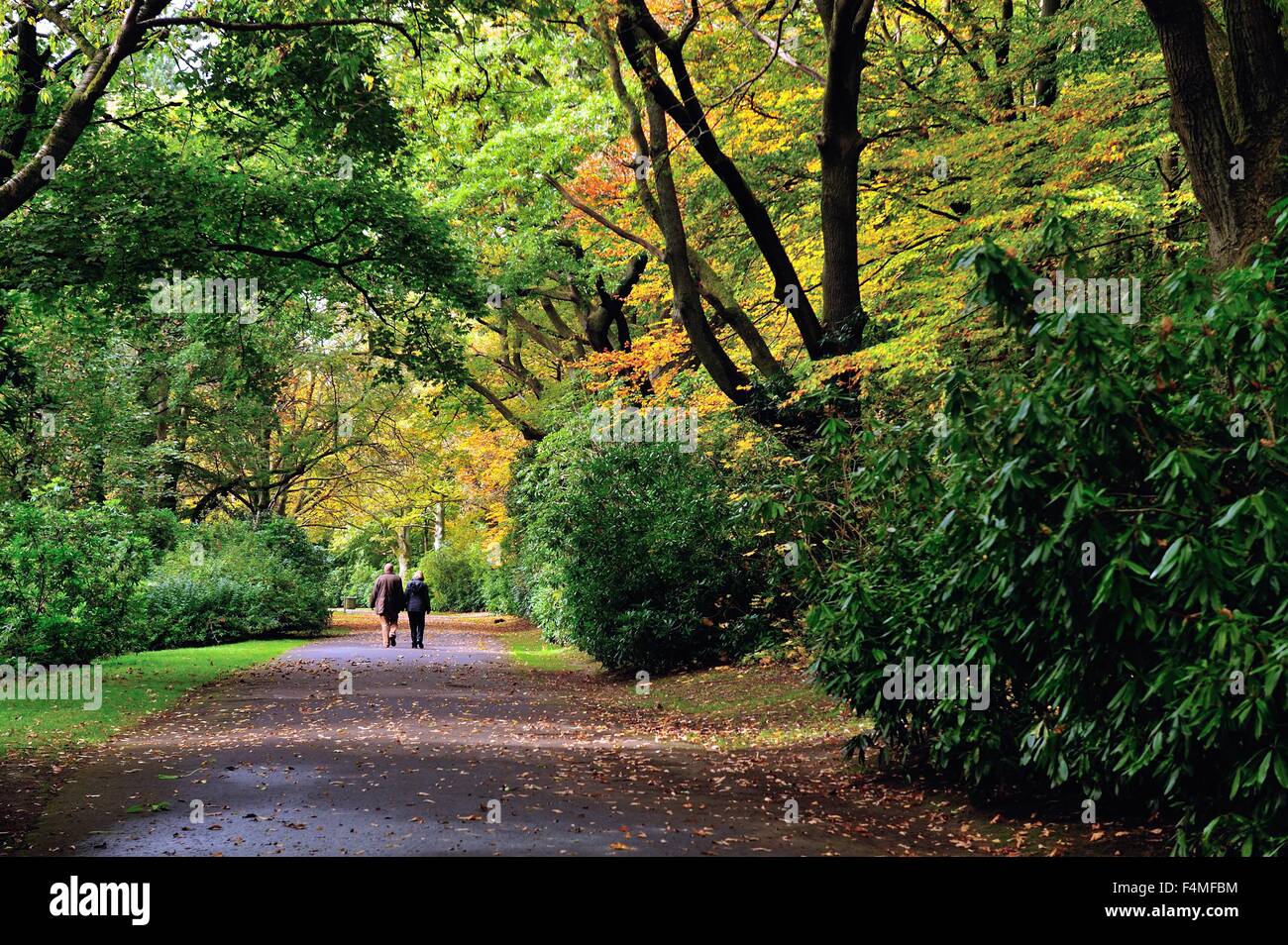Glasgow, Scotland, Regno Unito. Xx oct, 2015. Un uomo e una donna vai a fare una passeggiata nel bellissimo sole autunnale in Pollok Park, Glasgow. Credito: Tony Clerkson/Alamy Live News Foto Stock