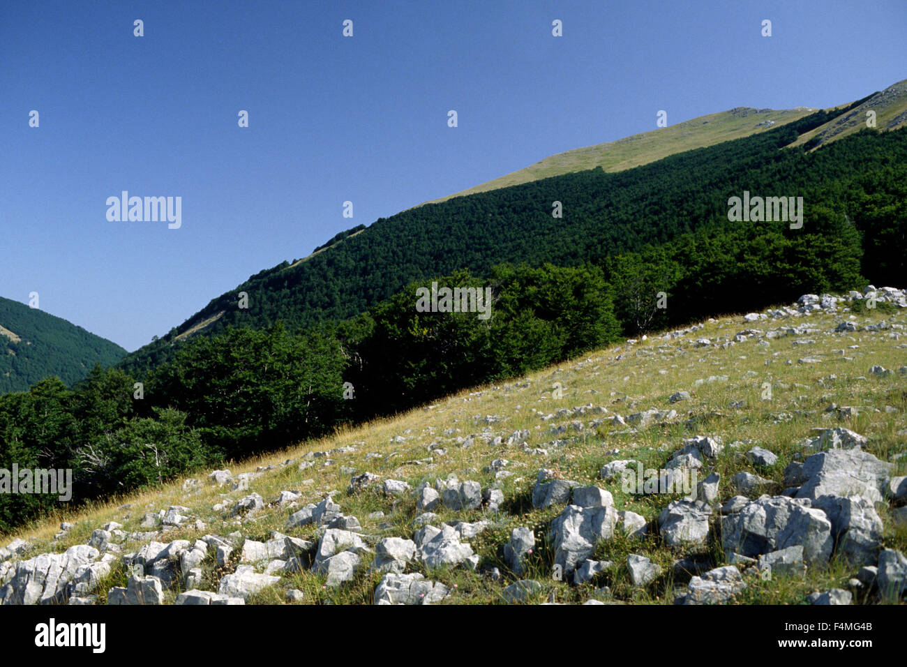 Italia, Basilicata, Parco Nazionale del Pollino, Monte Serra del prete Foto Stock