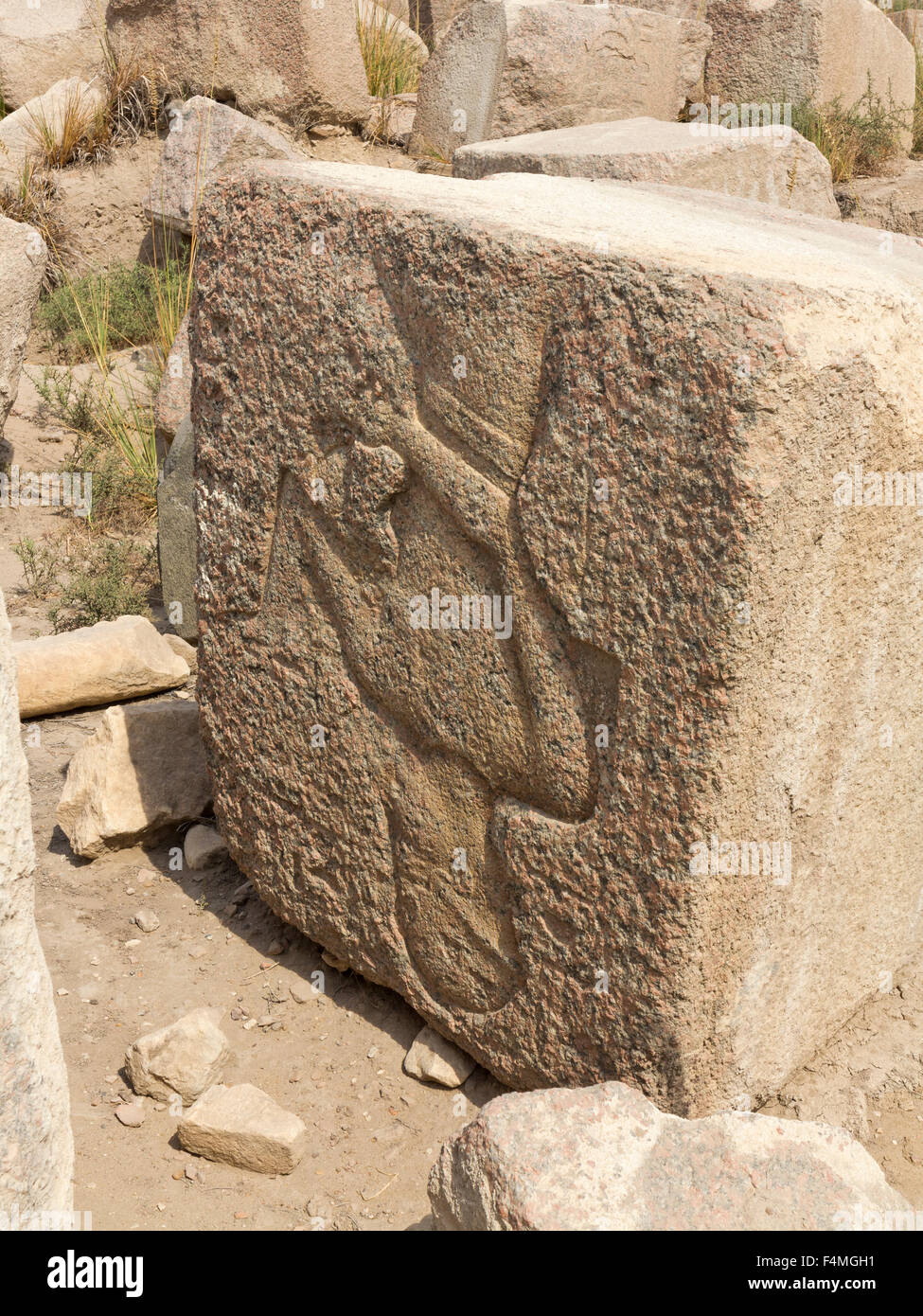 Il sito di antiche liberiane, Tell Basta, classica Bubastis a sud-est di Zagazig nel Delta del Nilo, Egitto Foto Stock