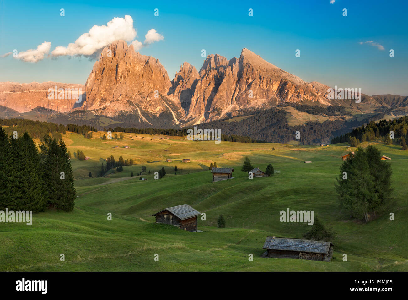 Alpe di Siusi con il Gruppo del Sasso Lungo nel pomeriggio di luce, Alto Adige, Italia Foto Stock