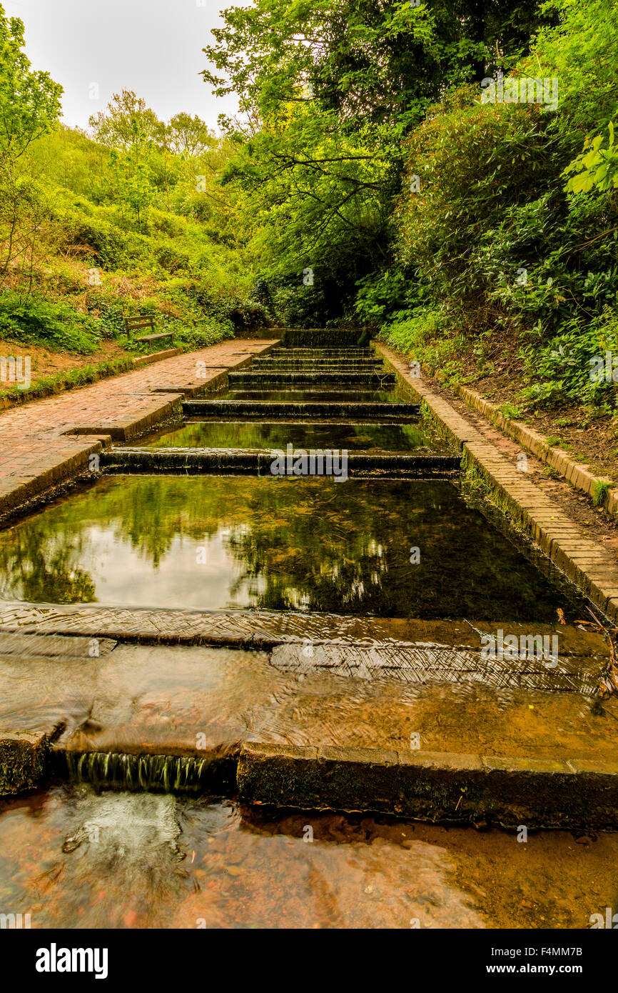 Una cascata di Crescione acquatico piscine mantenuto fresco con acqua corrente a Himley Hall & Park in Dudley Foto Stock