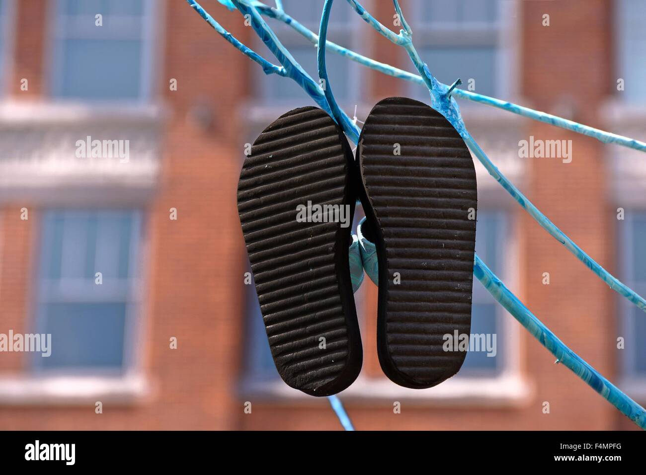 Nero con suole in gomma flip-flop appesa al Blue Tree ramo in città. Foto Stock