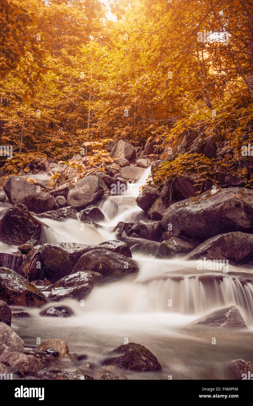 Bella cascata nella foresta, paesaggio autunnale Foto Stock