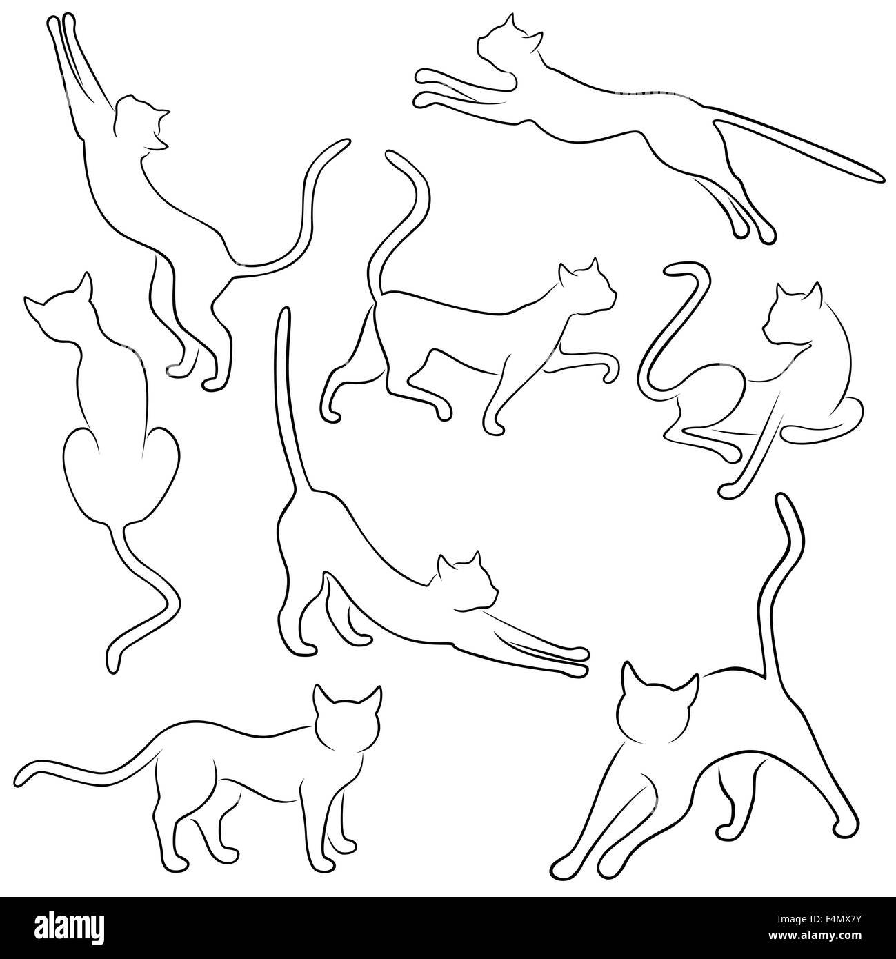Set di otto nero i contorni del vettore di divertenti gatti domestici in diverse pose su uno sfondo bianco, mano disegno illustrativo Illustrazione Vettoriale