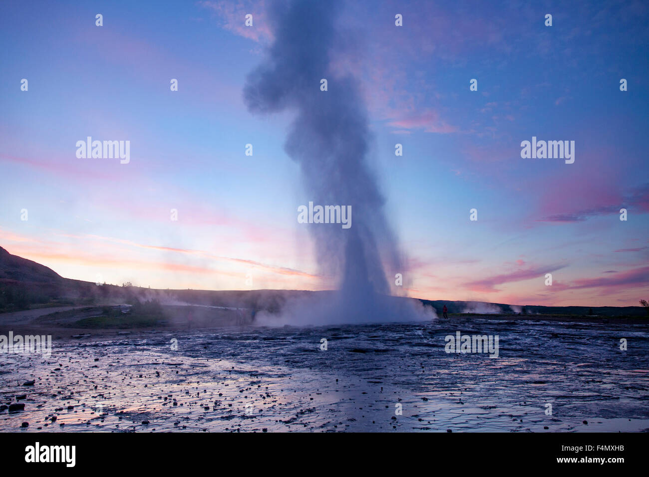 Strokkur geyser errupting al tramonto, Geysir, Sudhurland, Islanda. Foto Stock