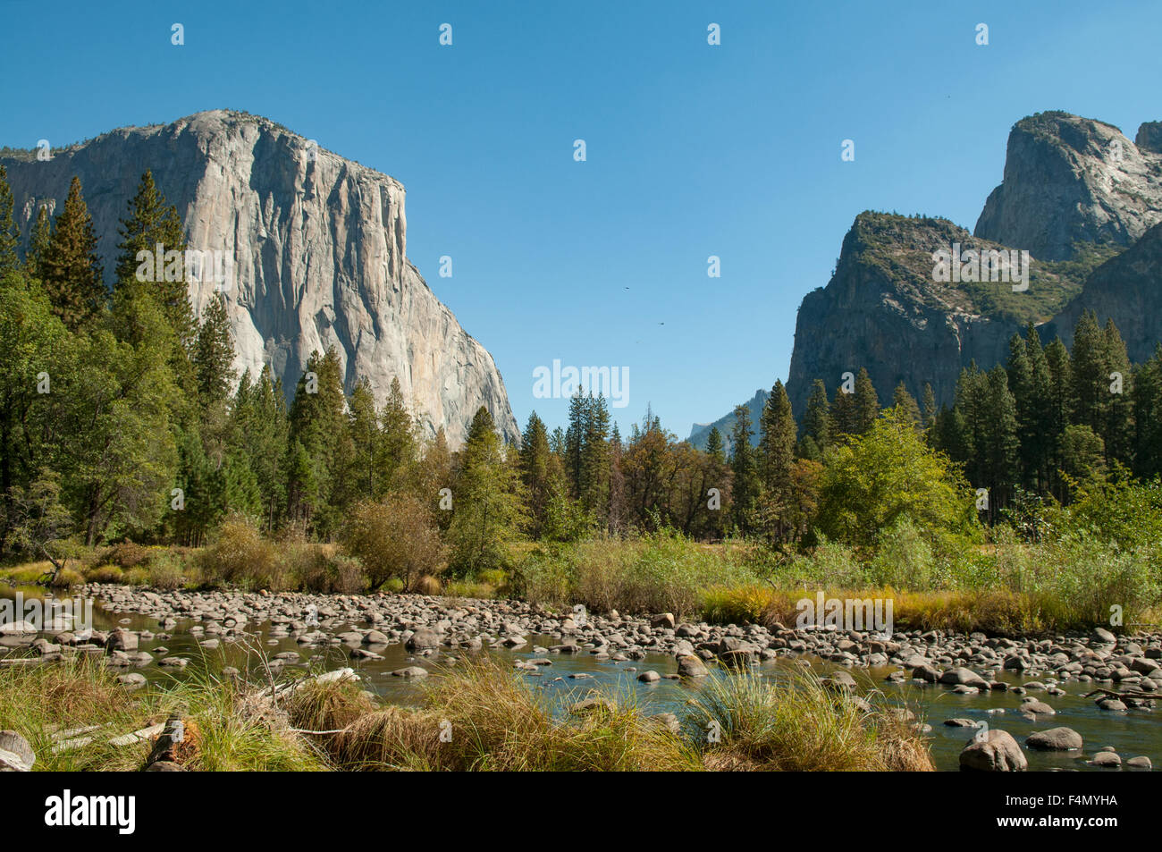 El Capitan e cupola sentinella, Yosemite NP, CALIFORNIA, STATI UNITI D'AMERICA Foto Stock