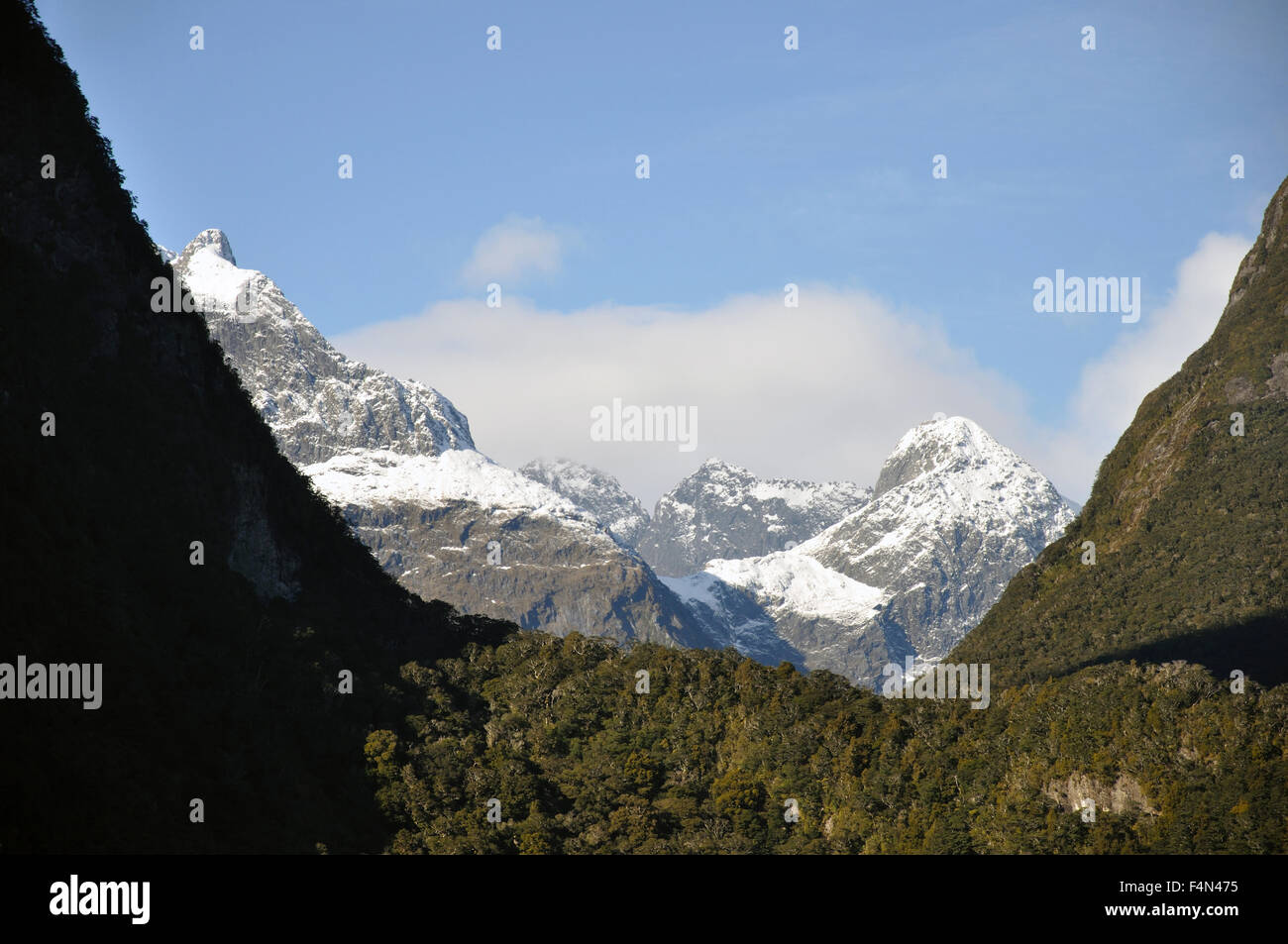 La peste a forma di U valle glaciale a Milford Sound, Fiordland, Nuova Zelanda Foto Stock