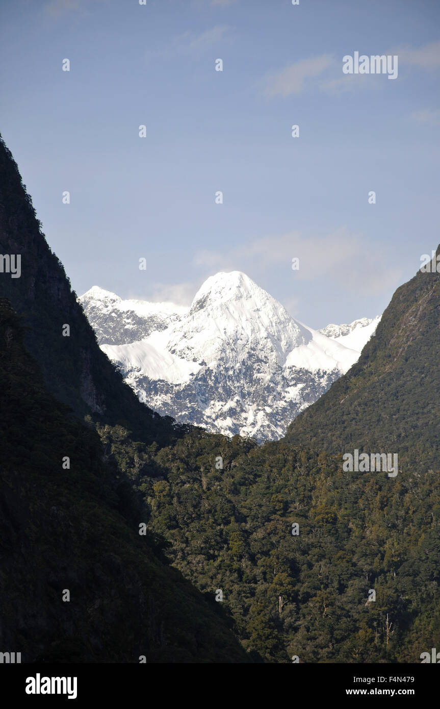 La peste a forma di U valle glaciale a Milford Sound, Fiordland, Nuova Zelanda Foto Stock