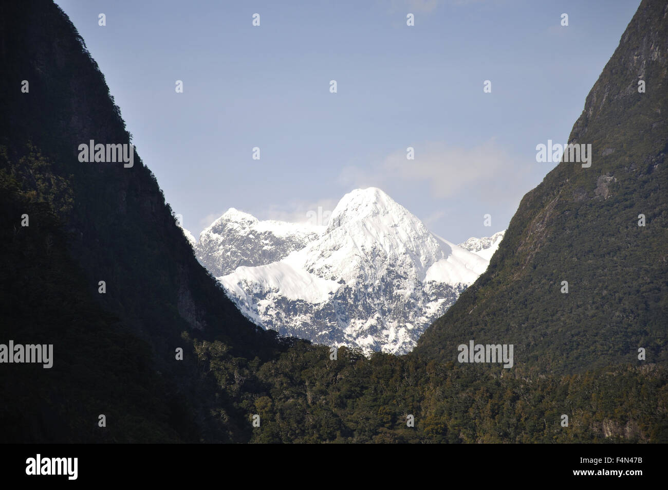 Tipico a forma di U valle glaciale a Milford Sound, Fiordland, Nuova Zelanda Foto Stock