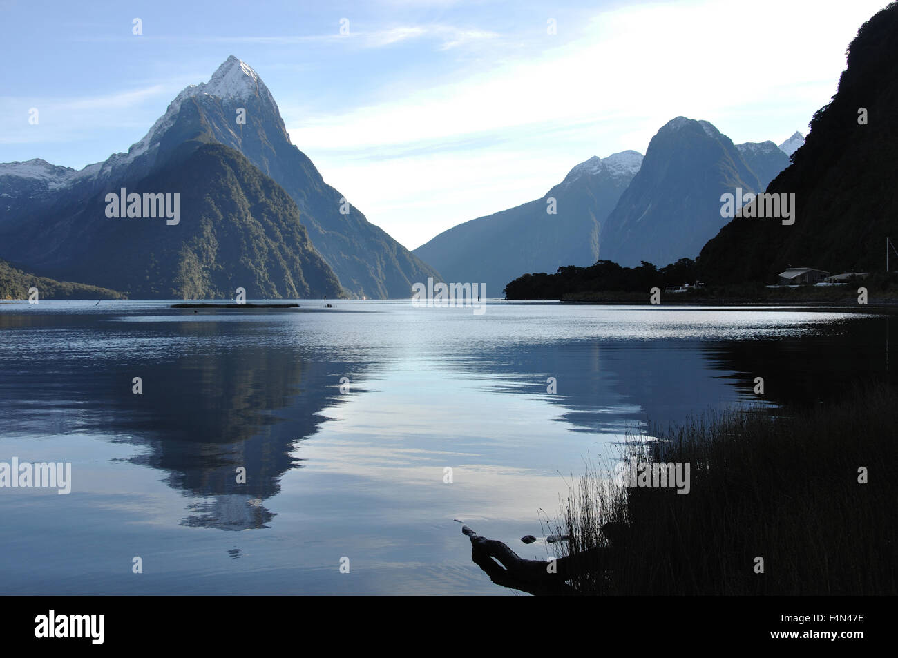 Mitre Peak, Milford Sound, Fiordland, Nuova Zelanda Foto Stock