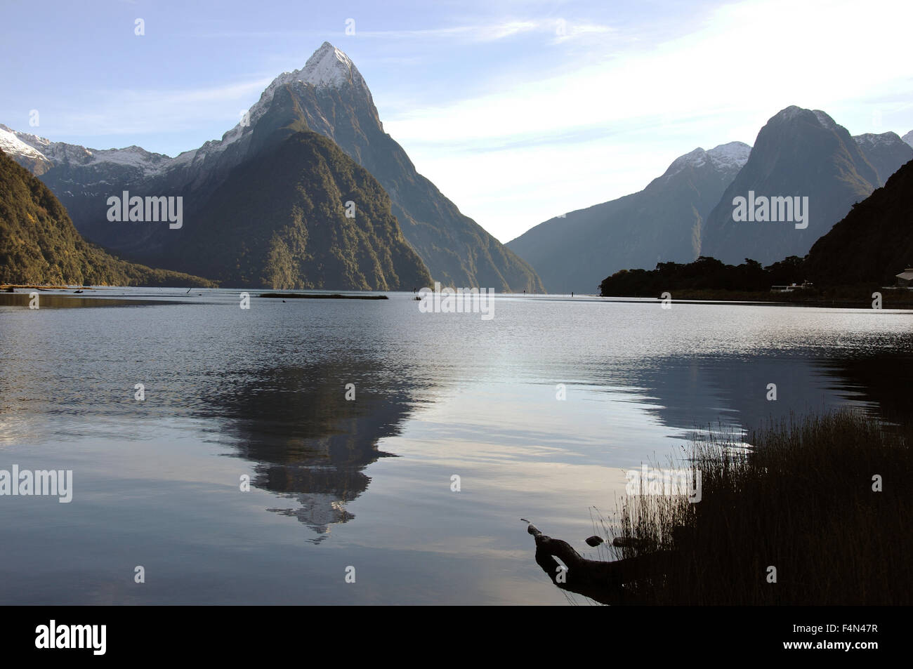 La riflessione di Mitre Peak, Milford Sound, Fiordland, Nuova Zelanda Foto Stock