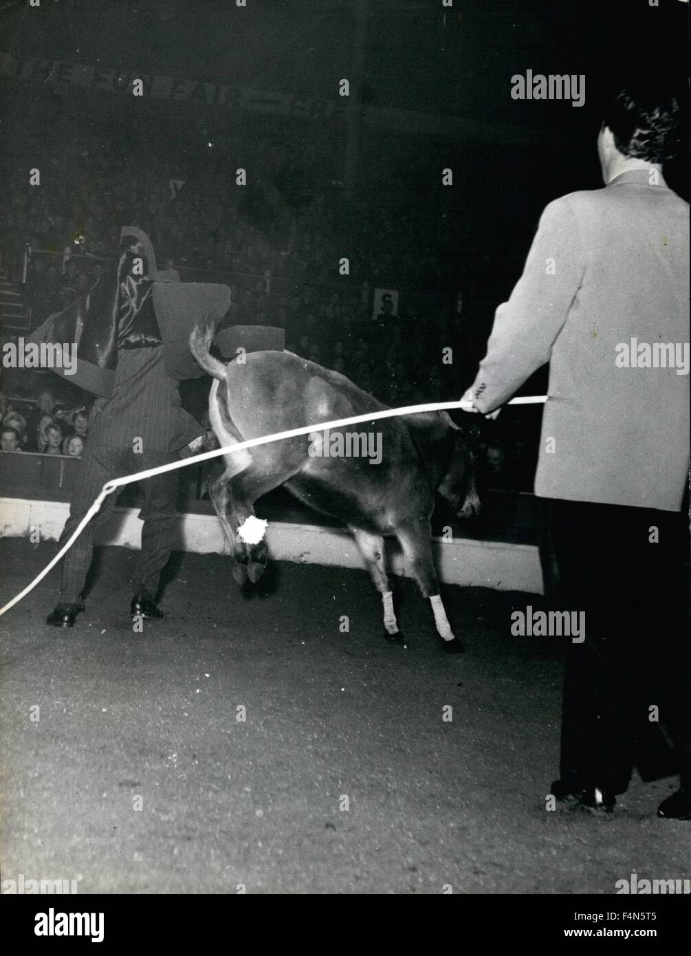 Febbraio 24, 1972 - L'uomo che ha provato a montare la regola non è riuscita e non poteva andare lontano abbastanza veloce per sfuggire una scossa rapida in pantaloni dall'animale zampe posteriori. Si può cavalcare un mulo? Ecco la tua occasione per provare; la maggior parte di noi quando viene fornita la possibilità di liberare un mulo avrebbe educatamente declino, ma ci sono alcuni che dicono che ''e' appena non può essere così difficile come dicono''. Per queste persone in grassetto vi è una spettacolare t in negozio a Bertram Mills Circus a Olympia, dove kosamayor Unrideable del Mulo sfida tutti gli angoli di rimanere sul suo retro. Volontari del pubblico brave la calciata tacchi, i contraccolpi della schiena e la Foto Stock