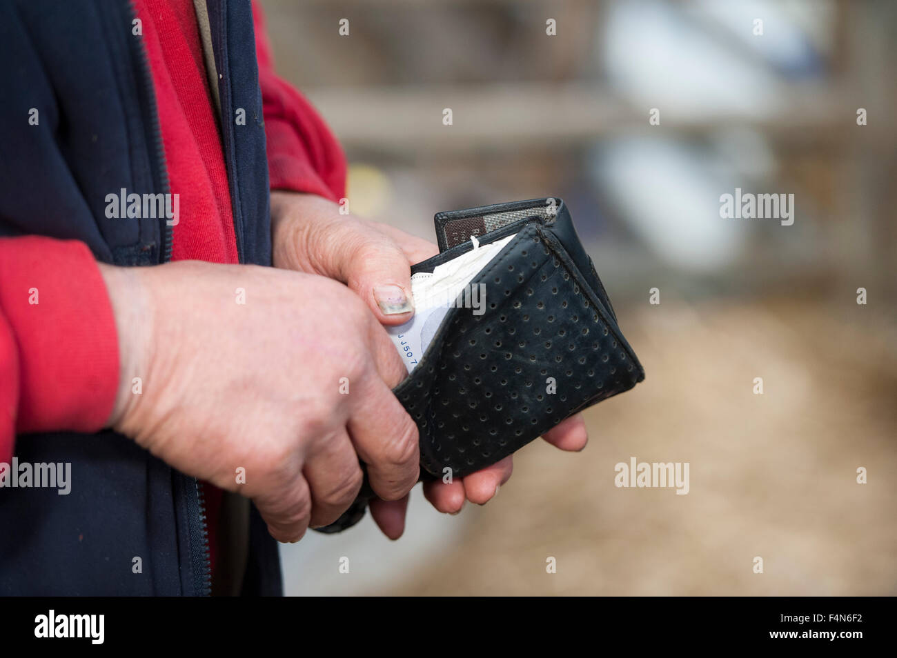 Apertura di agricoltore wallet per prelevare del contante al di fuori del. Yorkshire, Regno Unito. Foto Stock