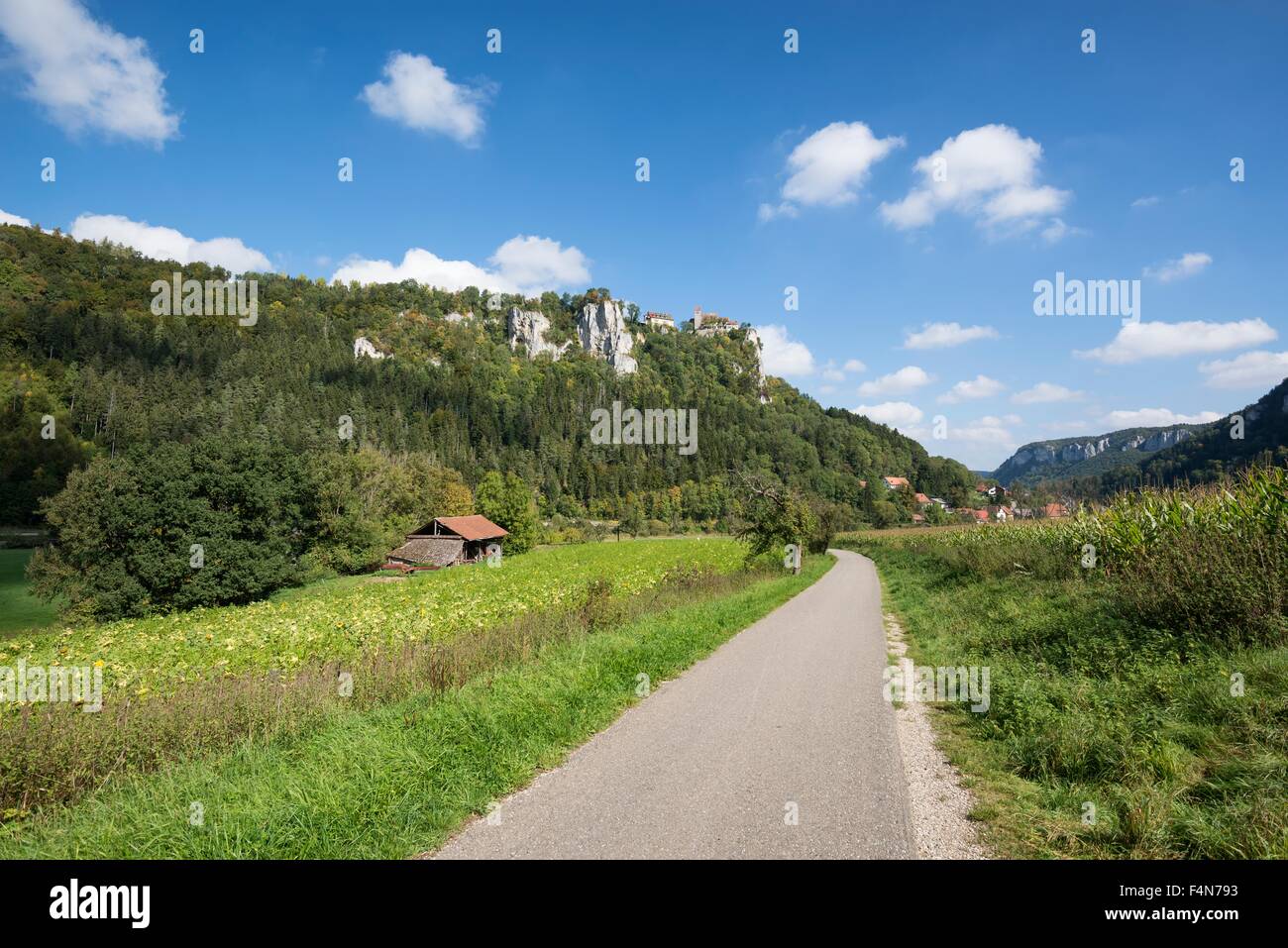 Germania Baden-Wuerttemberg, Sigmaringen district, Danubio pista ciclabile in alto a valle del Danubio Foto Stock