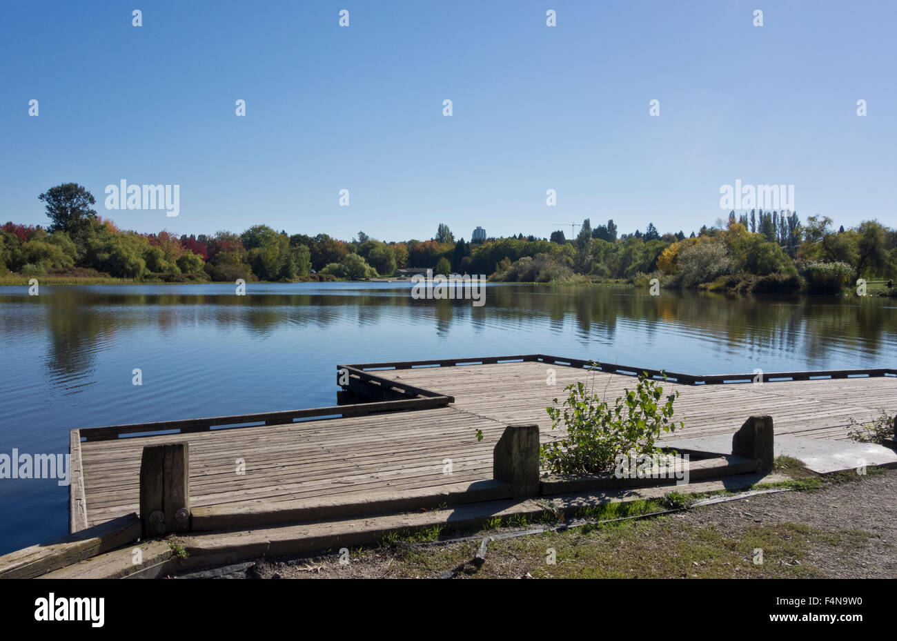 Docks e boardwalk a Trout Lake Park in East Vancouver, su una soleggiata giornata autunnale. Foto Stock
