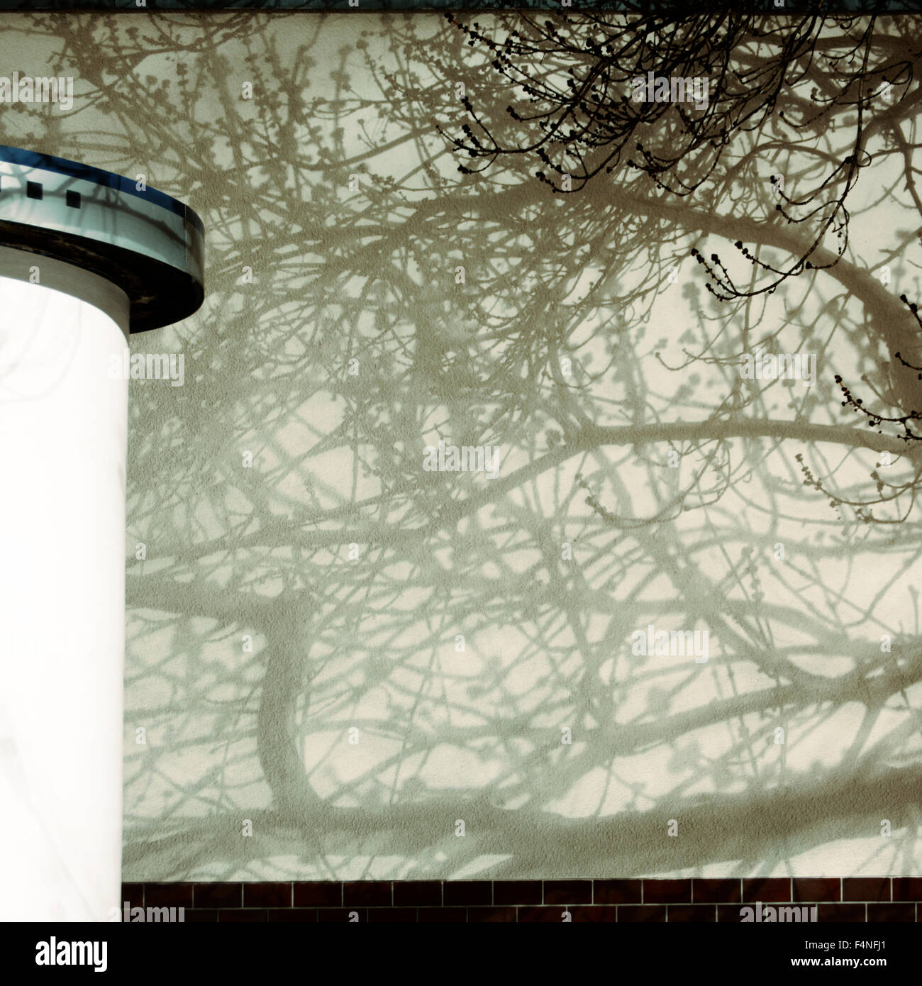 Ombre di un albero sulla facciata e la pubblicità colonna in primo piano Foto Stock