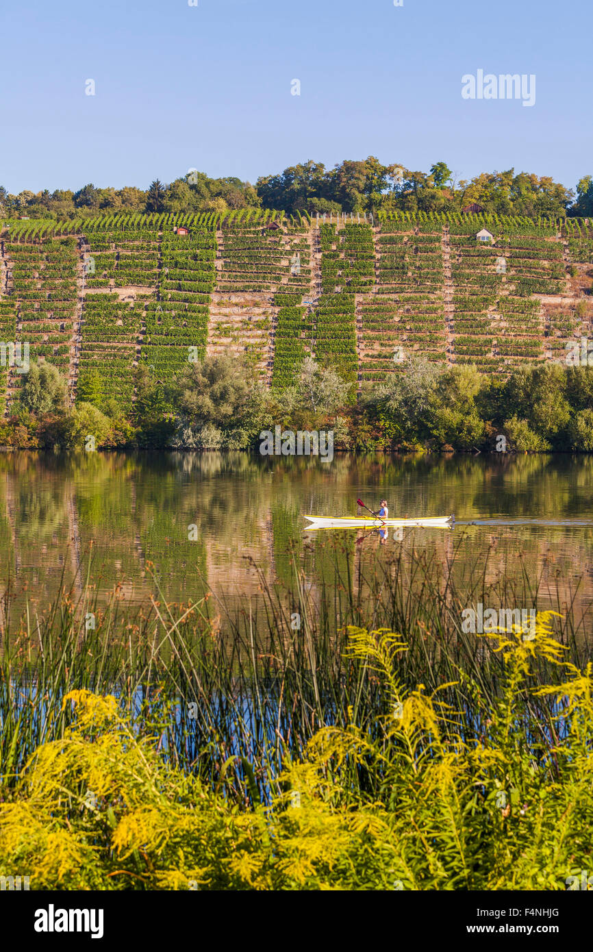 Germania, Stuttgart, donna kayak sul Neckar nella parte anteriore dei vigneti Foto Stock