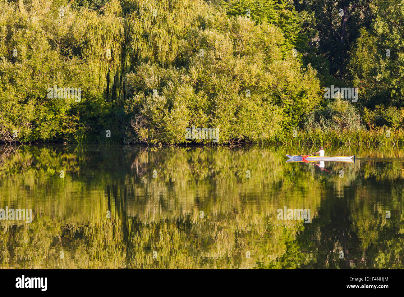 Germania, Stuttgart, donna kayak su Max-Eyth-vedere Foto Stock