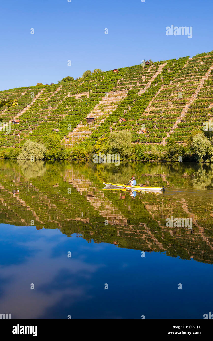 Germania, Stuttgart, donna kayak sul Neckar nella parte anteriore dei vigneti Foto Stock