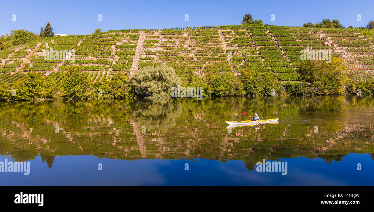 Germania, Stuttgart, donna kayak sul Neckar nella parte anteriore dei vigneti Foto Stock