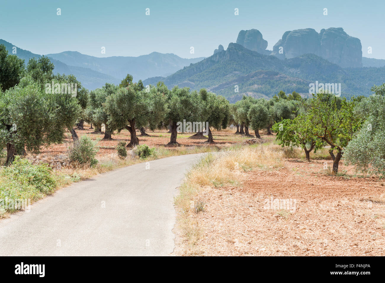 Les Roques de Benet picchi, Els Ports de Tortosa-Beseit parco naturale, nei pressi de la Horta de Sant Joan, Spagna Foto Stock