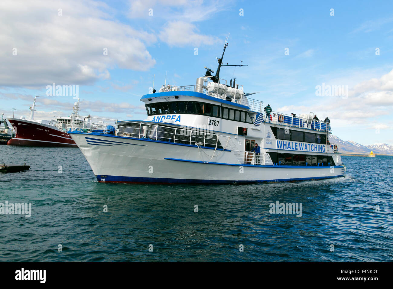Whale watching viaggio il vecchio porto Reykjavik Islanda Foto Stock
