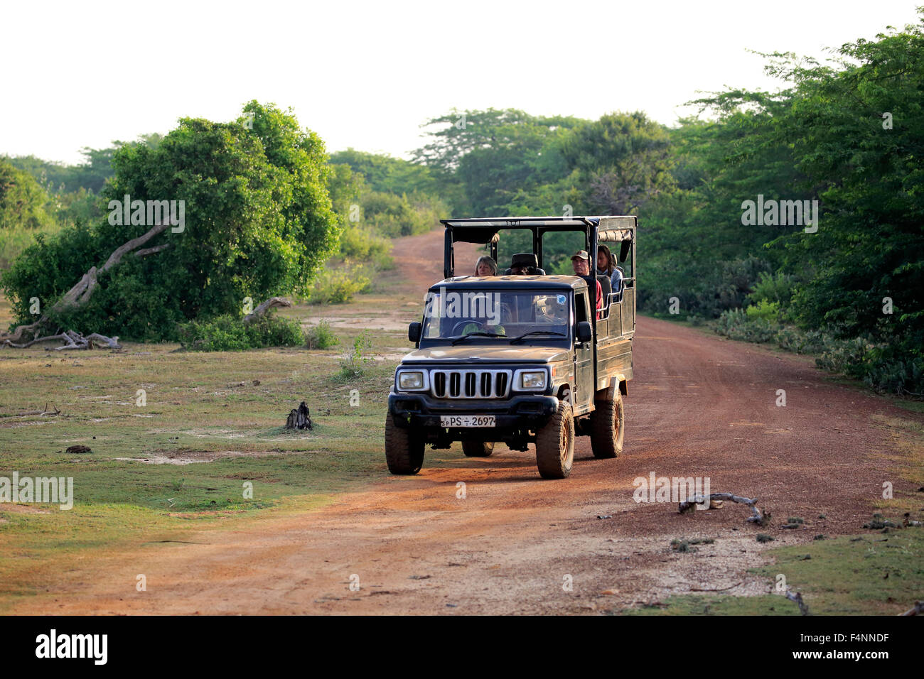 Veicolo di Safari, SUV, game drive con i turisti nel parco nazionale Yala, Sri Lanka Foto Stock