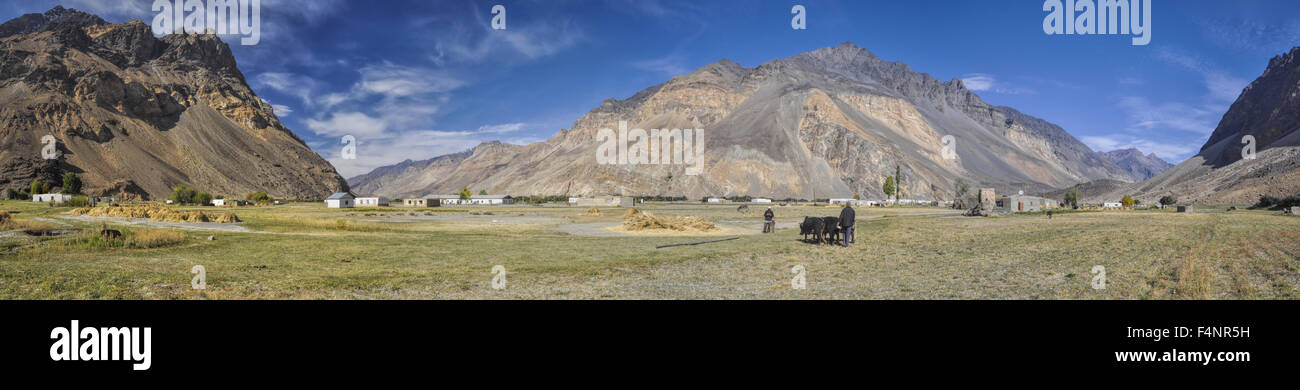 Suggestivo panorama del remoto villaggio con campi di grano in Tagikistan sul giorno di sole Foto Stock