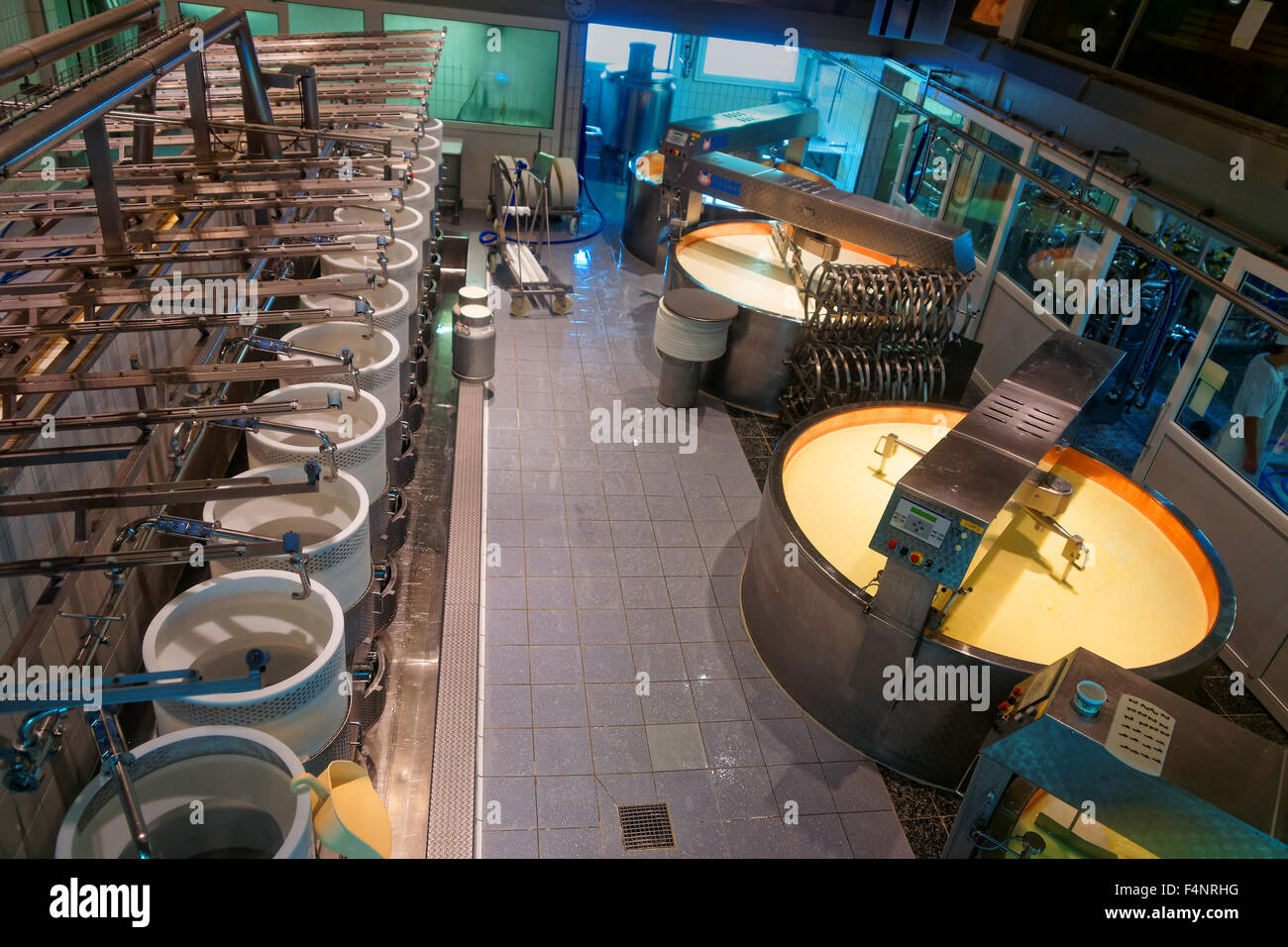 Formaggio processo. Formaggio gruviera factory nel Cantone di Friburgo, Svizzera Foto Stock