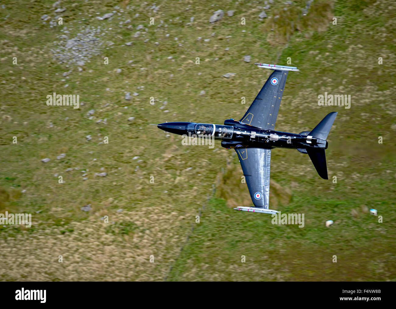 RAF Hawk T2 a basso livello la formazione di volo in Galles Foto Stock