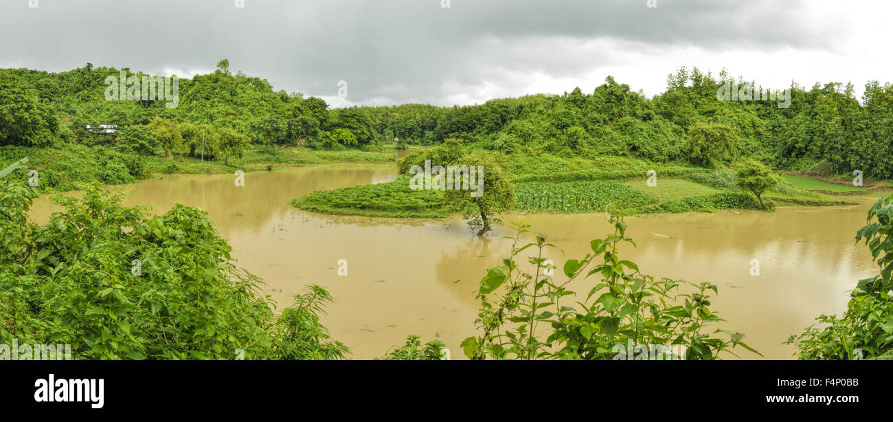 Allagamenti fluviali verdi campi in Bangladesh Foto Stock