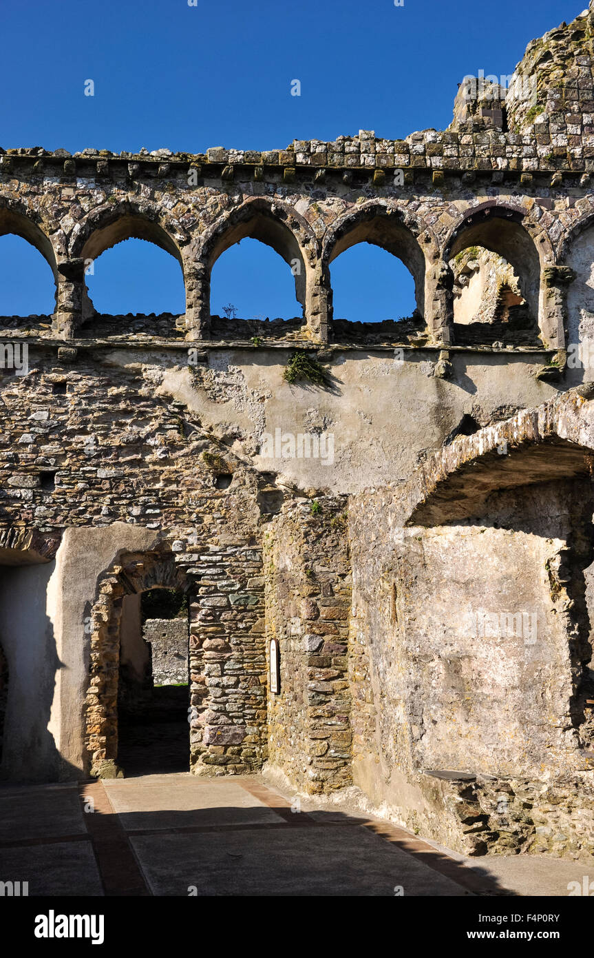 Il palazzo dei vescovi a St Davids in Pembrokeshire, Galles. Foto Stock