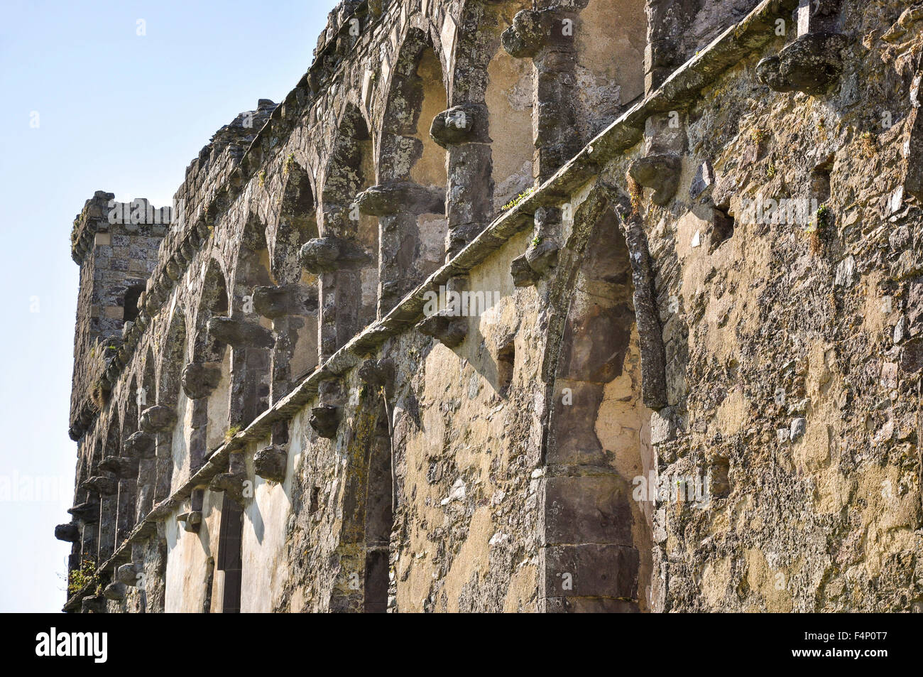 Il palazzo dei vescovi a St Davids in Pembrokeshire, Galles. Foto Stock
