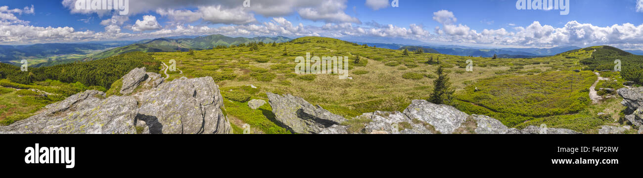 Scenic panorama di Nizke Tatry montagne in Slovacchia Foto Stock