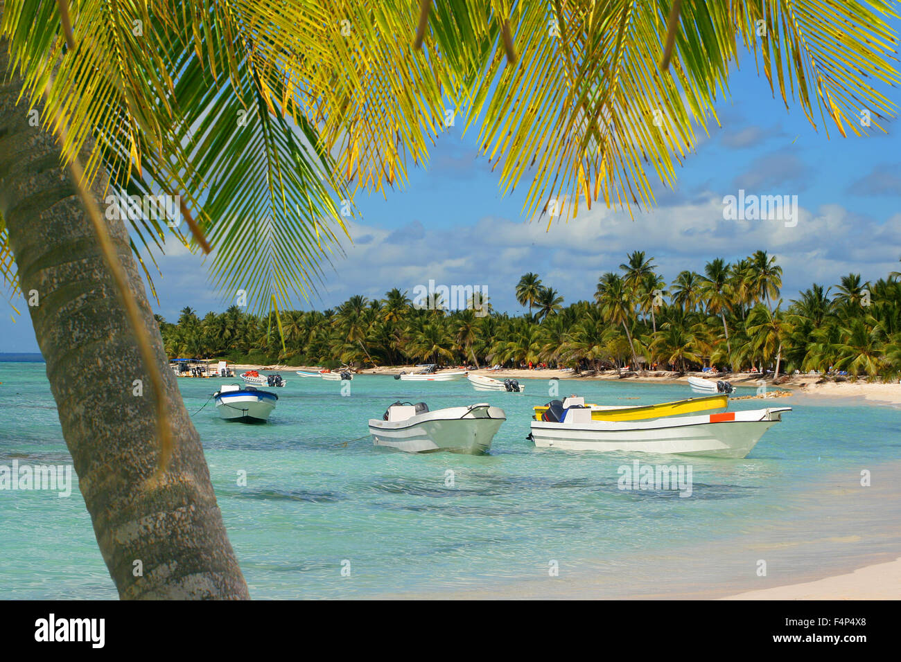 Isola Seona spiaggia tropicale con barche, palme e limpide acque dei Caraibi Foto Stock