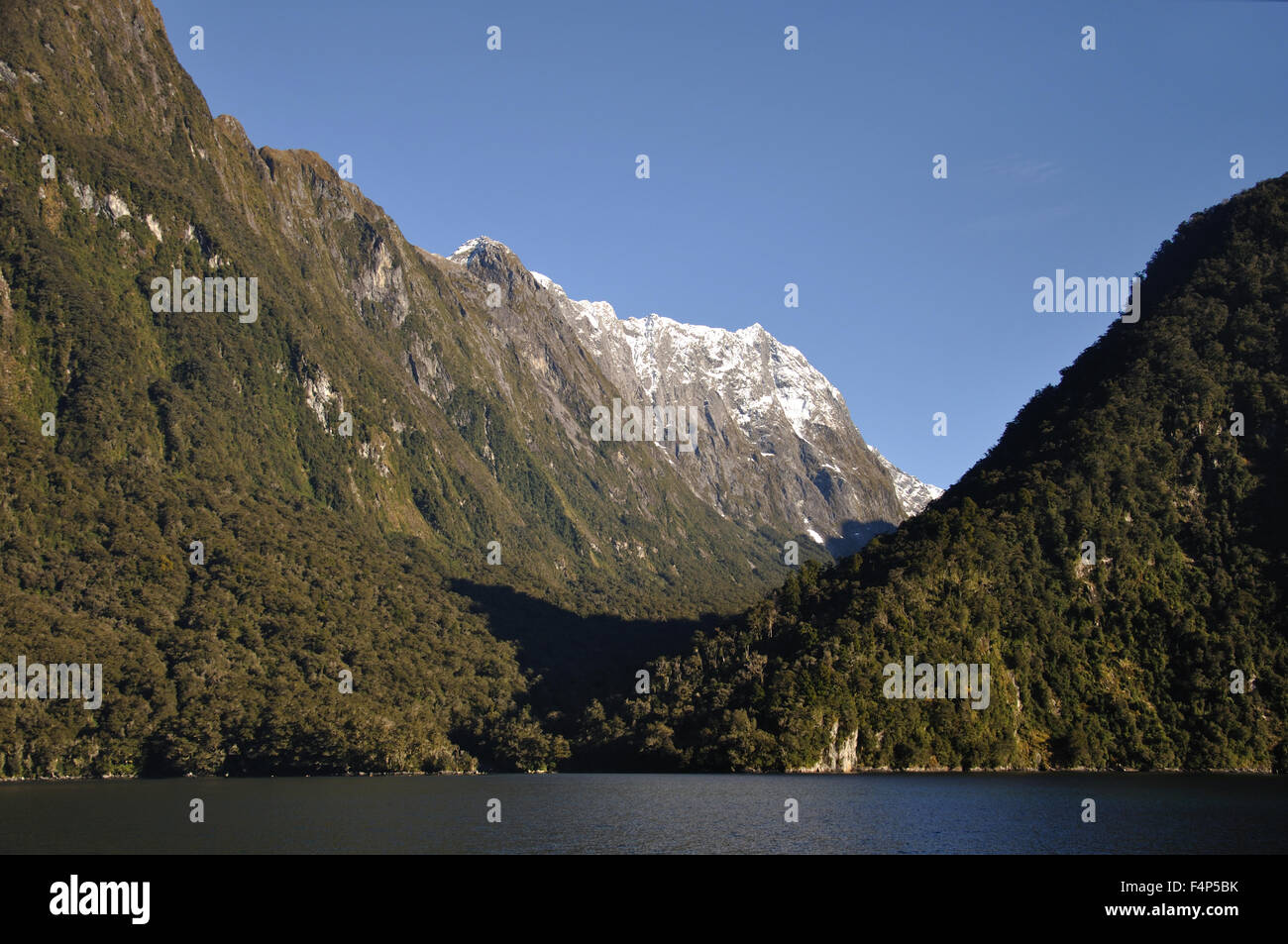 Tipico a forma di U valle glaciale a Milford Sound, Fiordland, Nuova Zelanda Foto Stock
